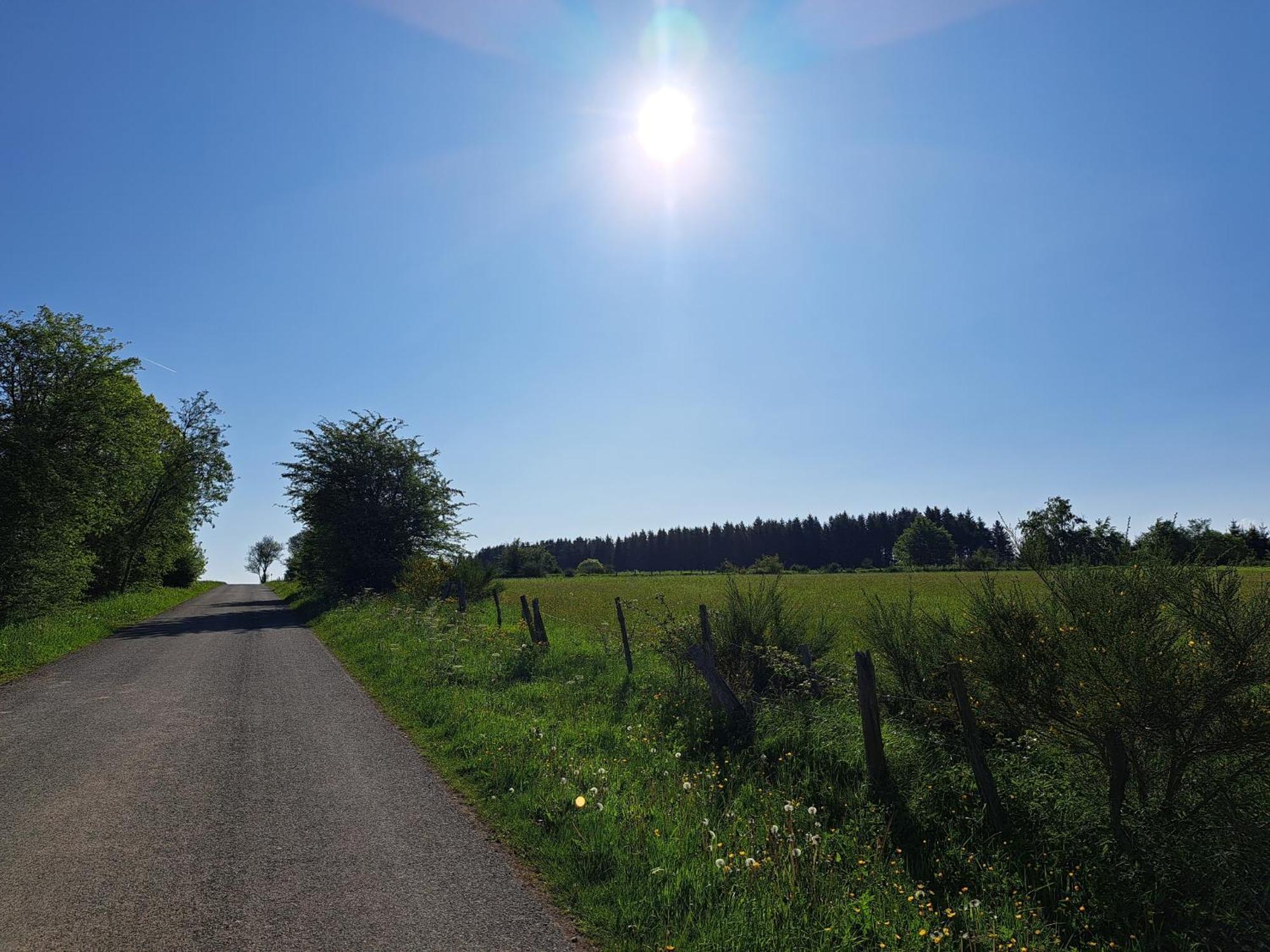 Sur Les Hauteurs La-Roche-en-Ardenne Camera foto